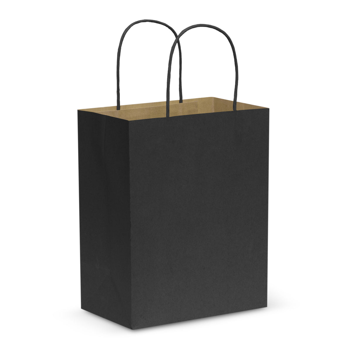 Paper Carry Bag - Medium - Black