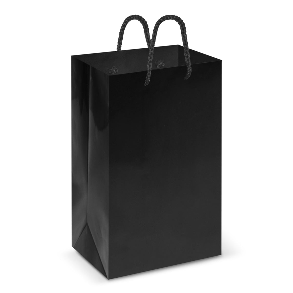 Laminated Carry Bag - Small - Black