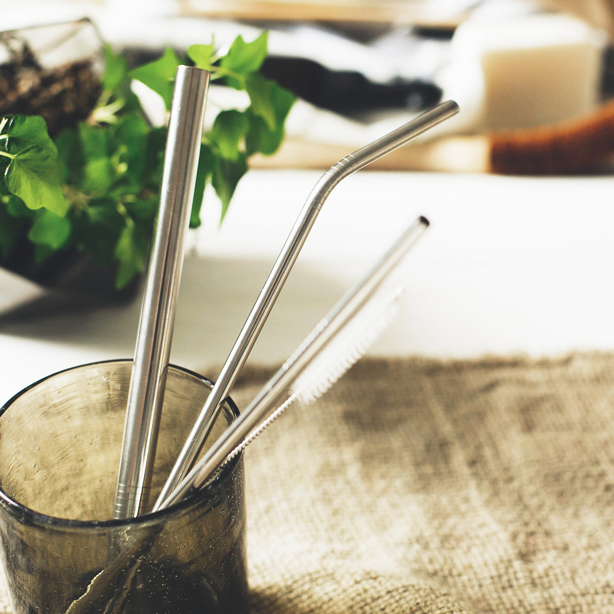 Stainless Steel Straw Set - Feature