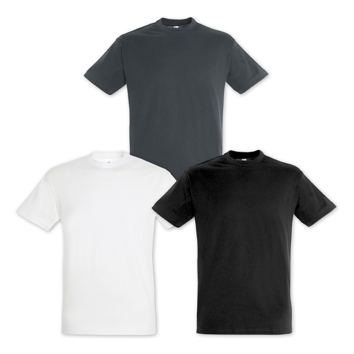 SOLS Regent Adult T-Shirt - Colours