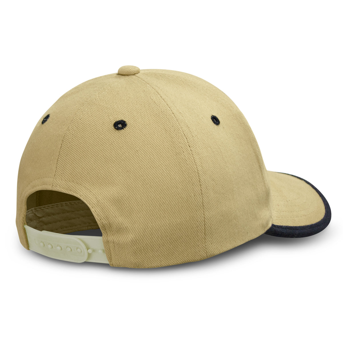 Springfield Cap - Back