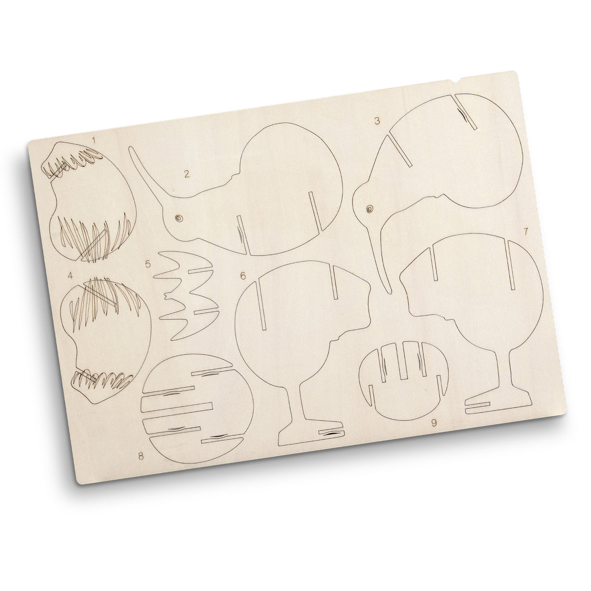 BRANDCRAFT Kiwi Wooden Model - Flat Sheet