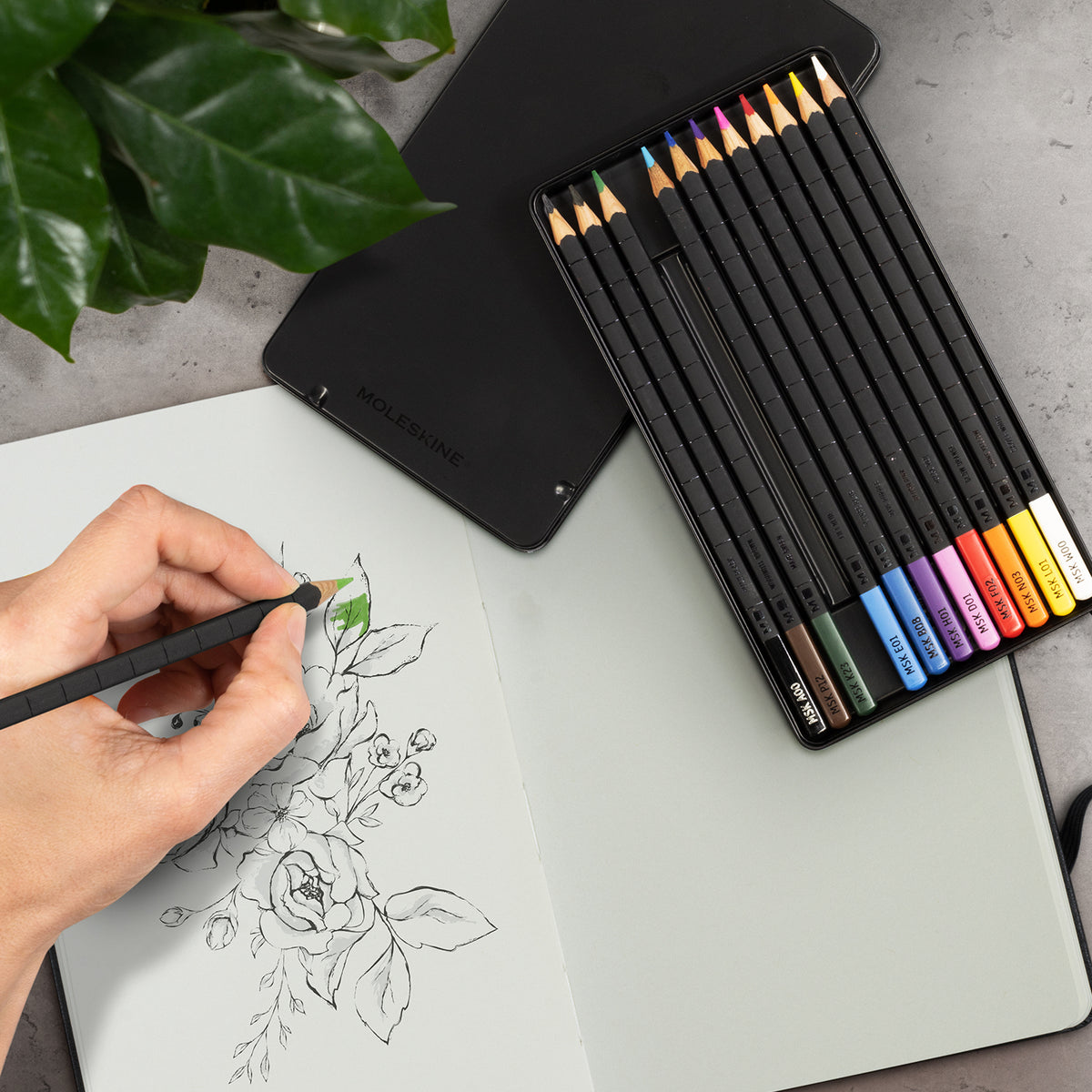 Moleskine Bundle Art Sketching Kit - Feature