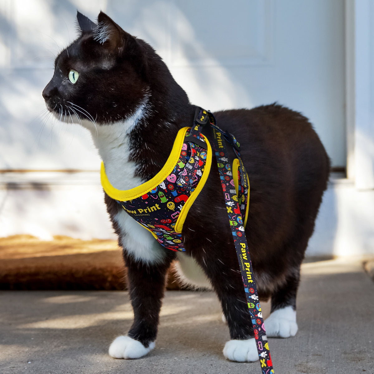 Amigo Pet Harness - Feature
