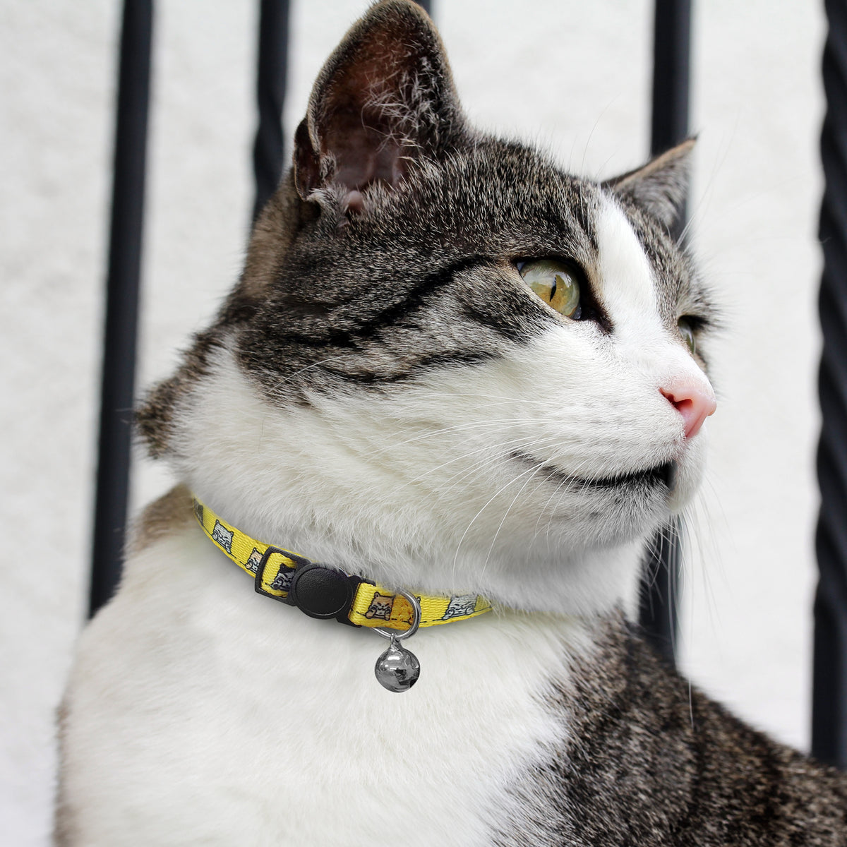 Amigo Cat Collar - Feature