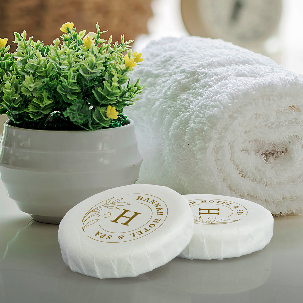 Salon Travel Soap - Feature