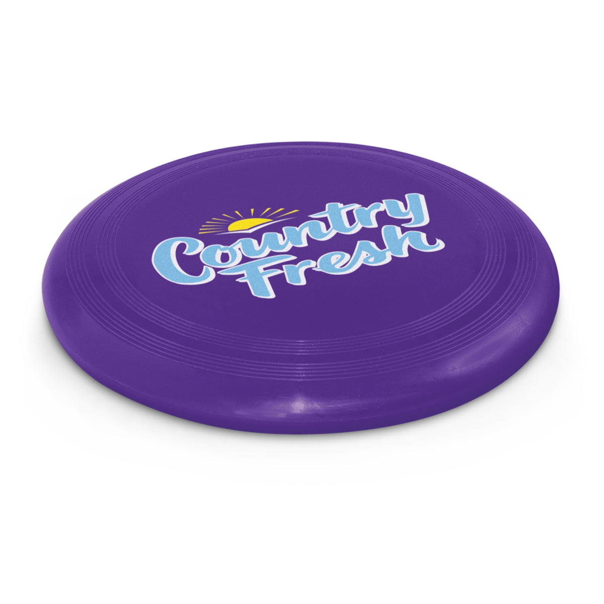 Large Flyer - Purple