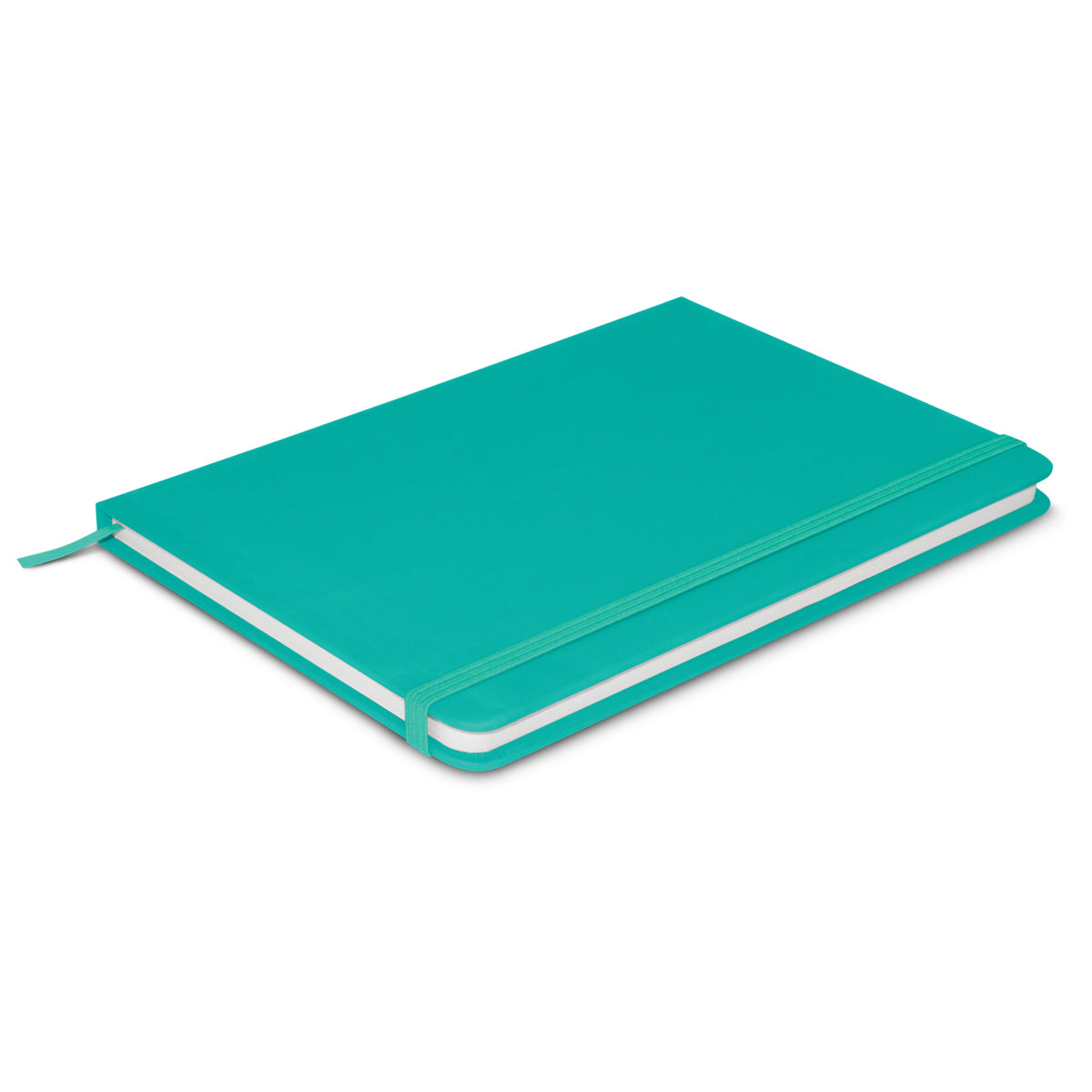 Omega Notebook - Teal