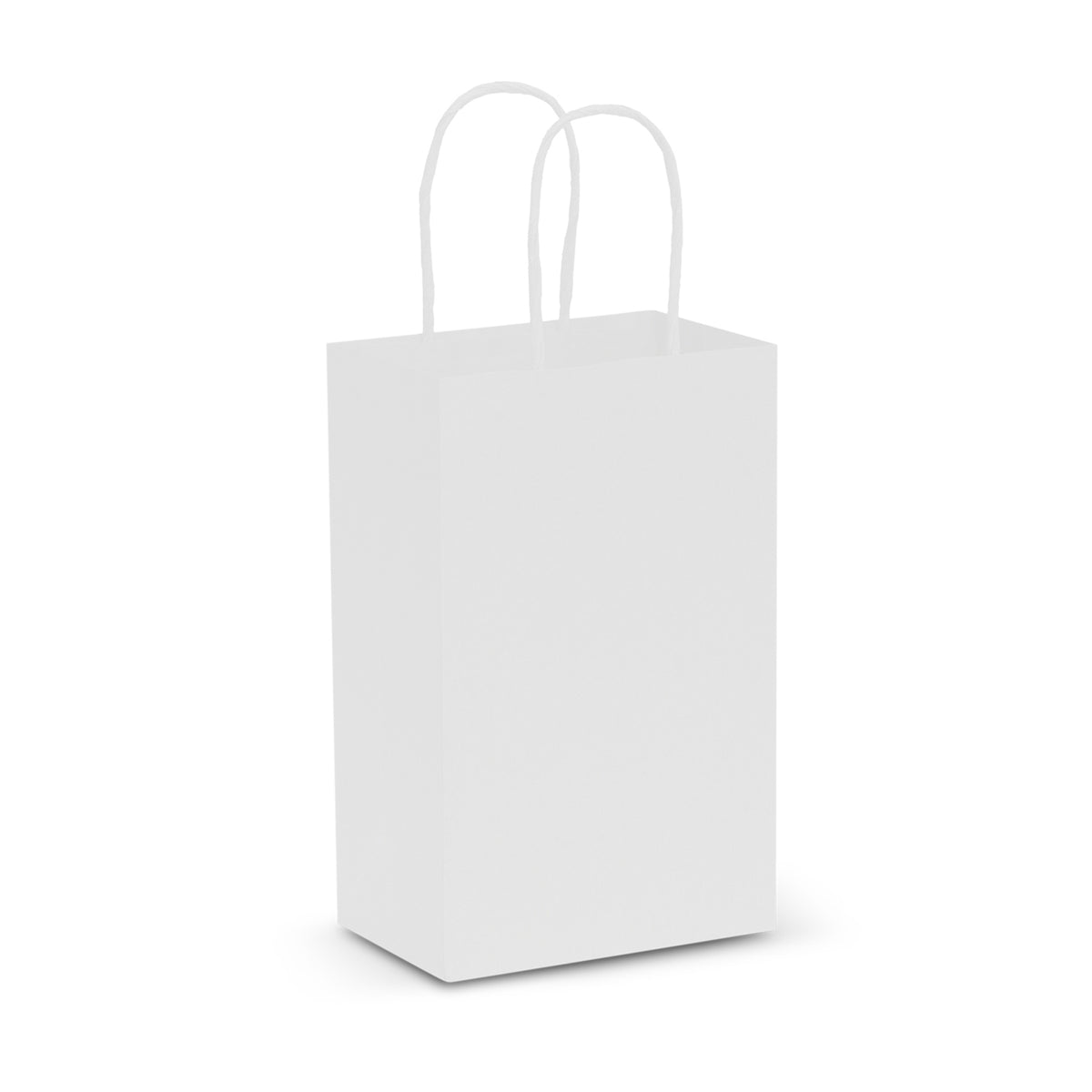 Paper Carry Bag - Small - White