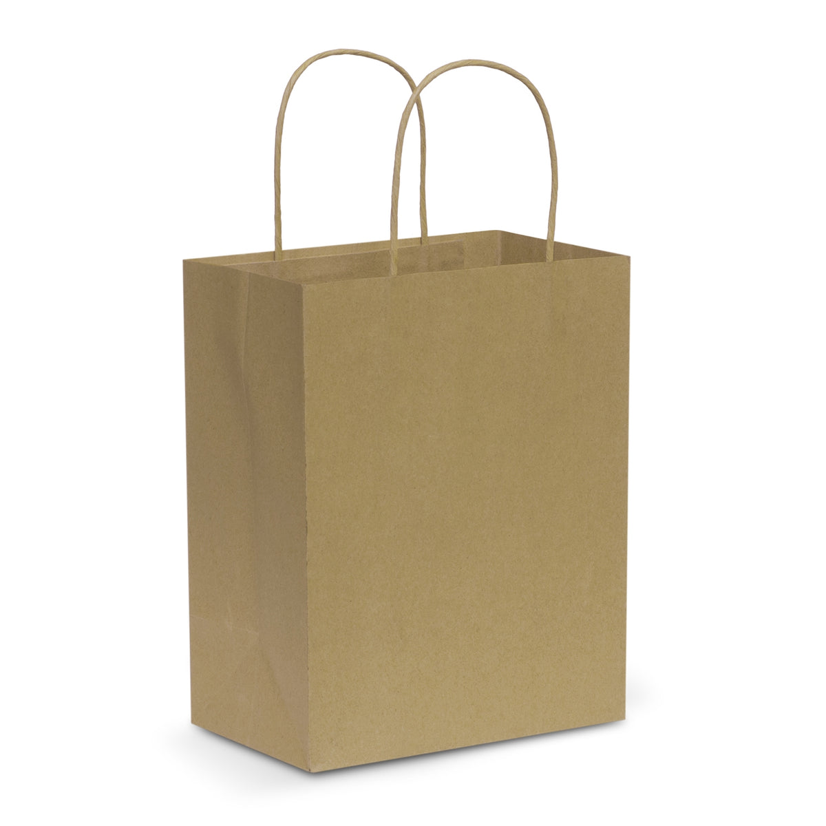 Paper Carry Bag - Medium - Natural