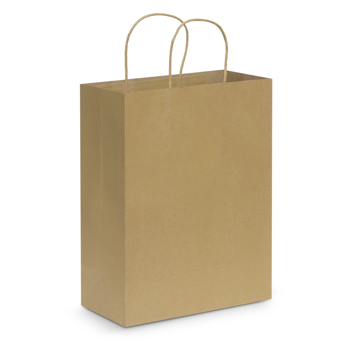Paper Carry Bag - Large - Natural