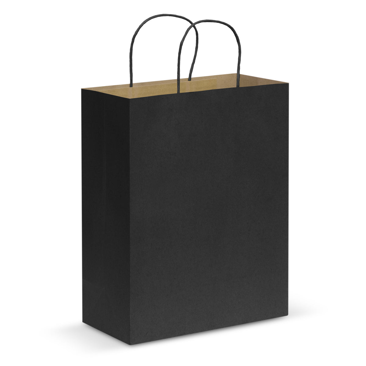 Paper Carry Bag - Large - Black