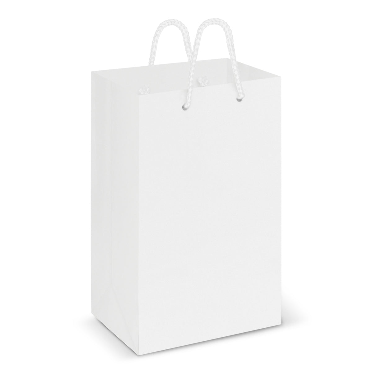 Laminated Carry Bag - Small - White