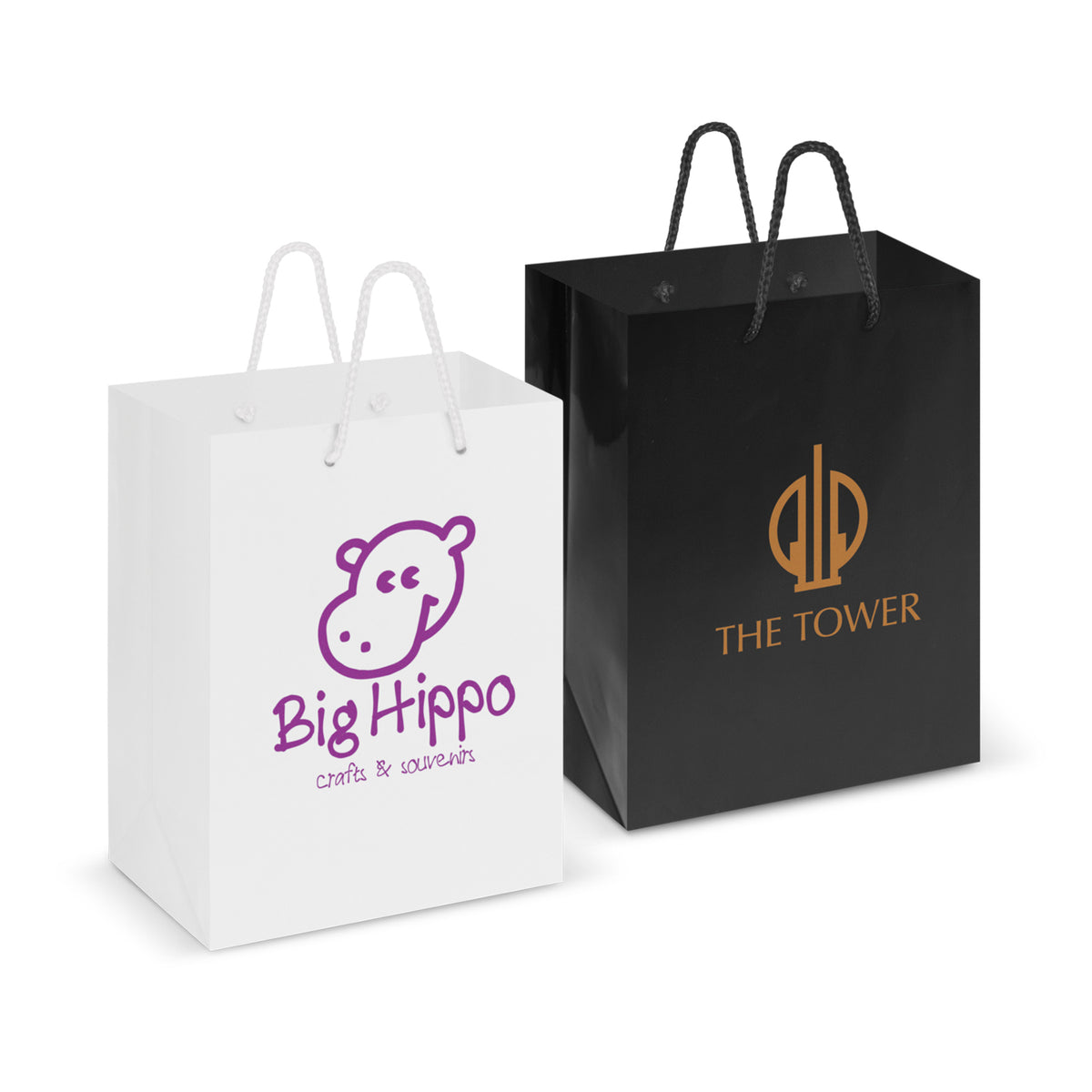 Laminated Carry Bag - Medium - Main