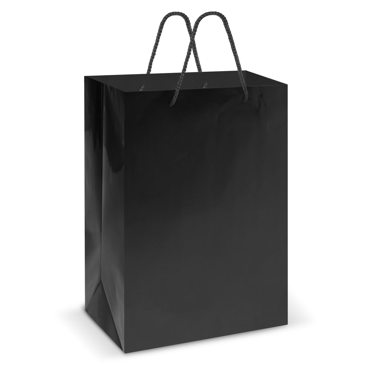 Laminated Carry Bag - Large - Black