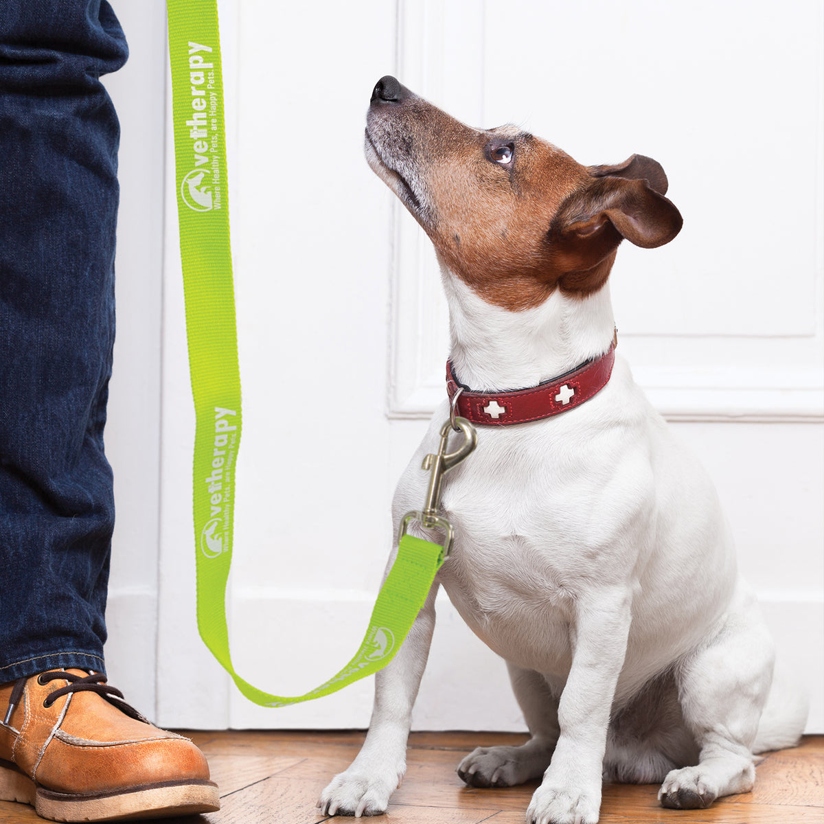 Trek Dog Leash - Feature