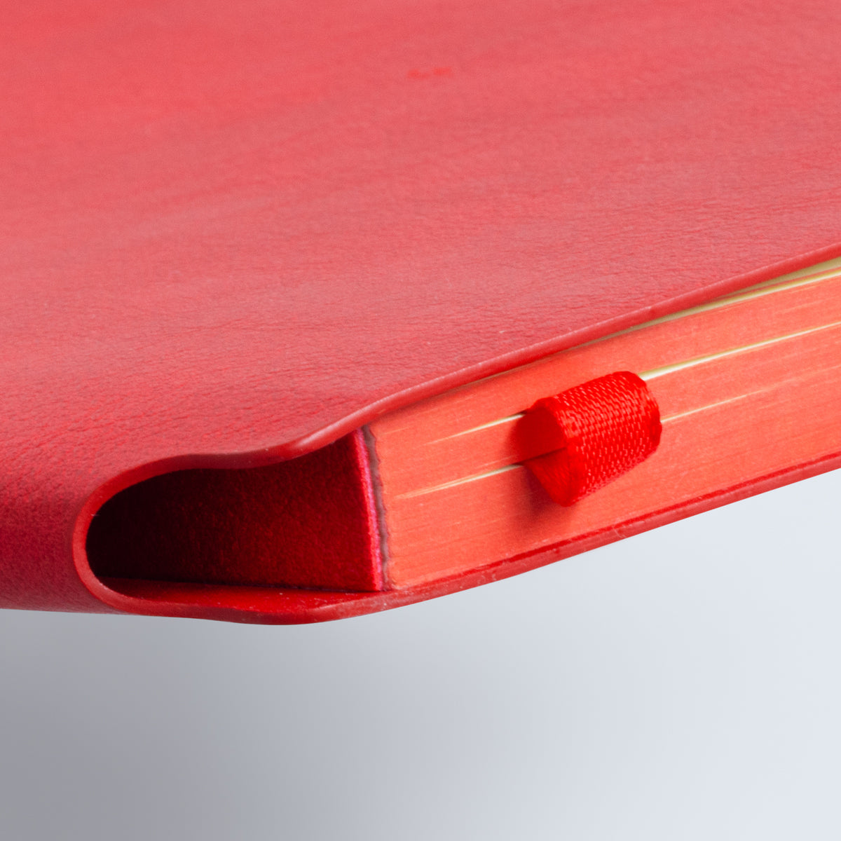 Demio Notebook - Medium - Detail