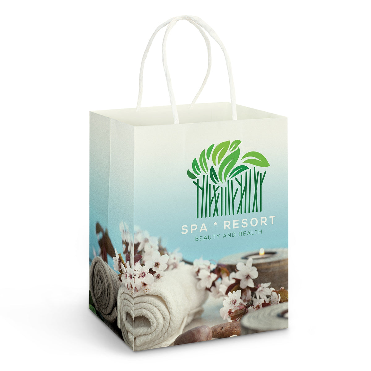Large Paper Carry Bag - Full Colour - Main