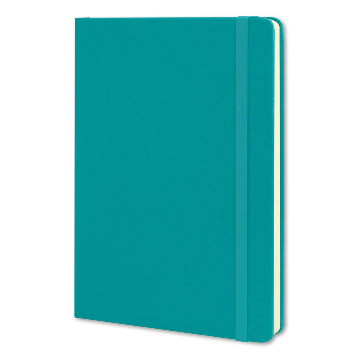Moleskine Classic Hard Cover Notebook - Large - Reef Blue