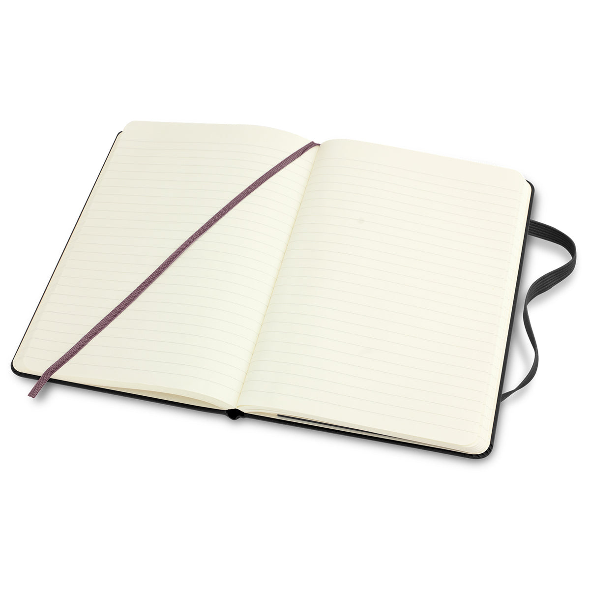 Moleskine Classic Hard Cover Notebook - Large - Open