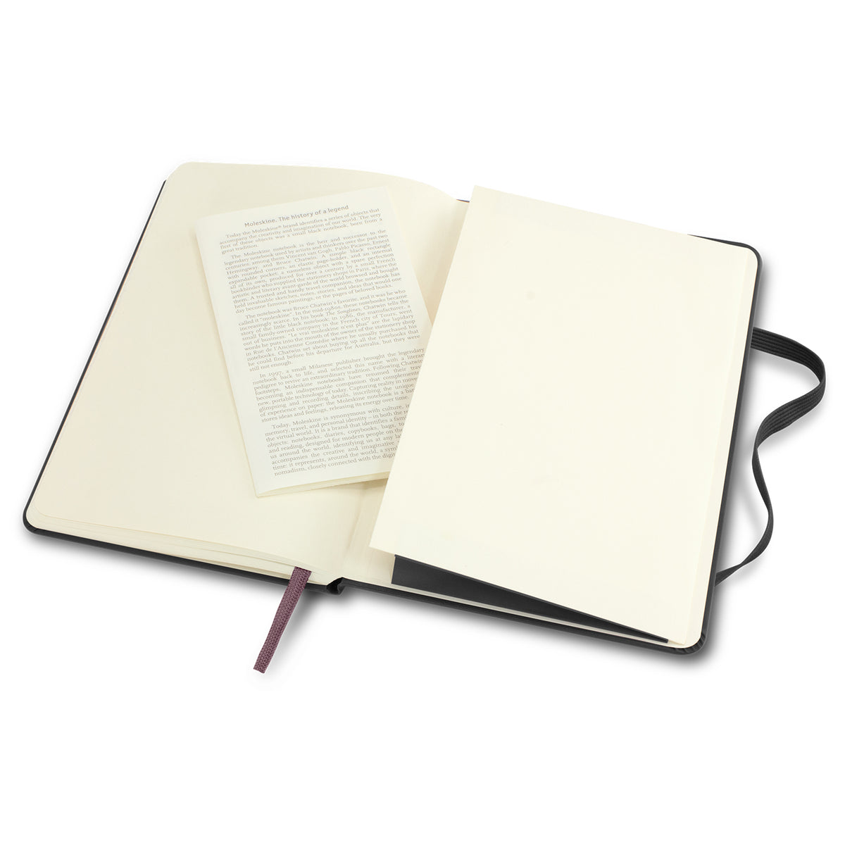 Moleskine Classic Hard Cover Notebook - Large - Pocket