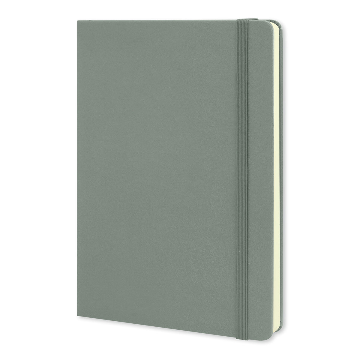 Moleskine Classic Hard Cover Notebook - Large - Grey