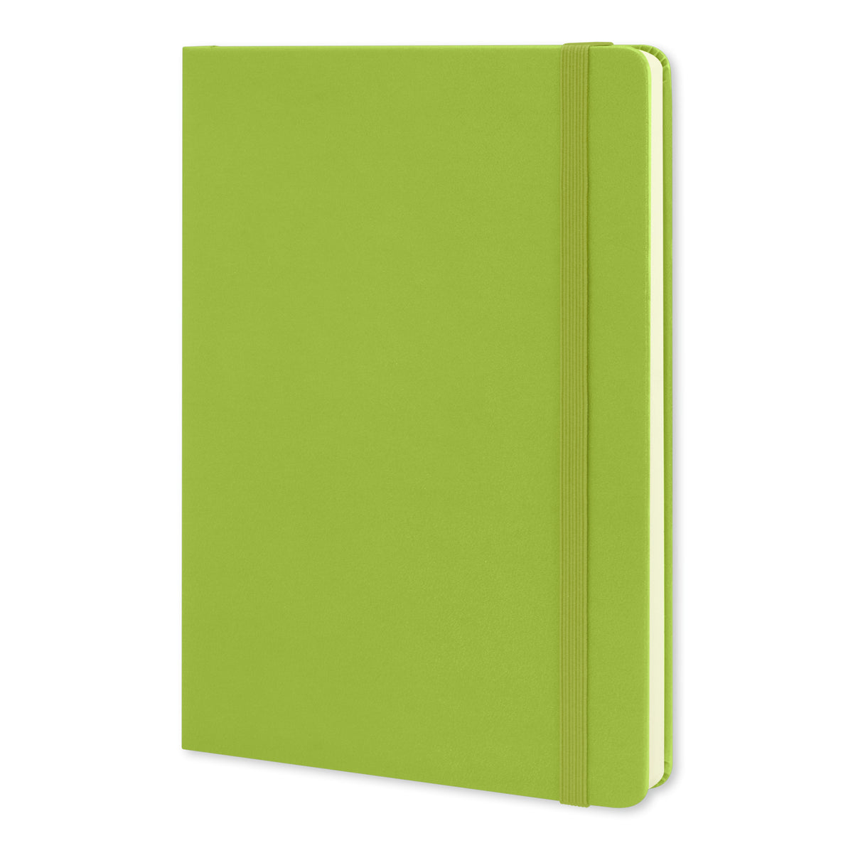 Moleskine Classic Hard Cover Notebook - Large - Light Green