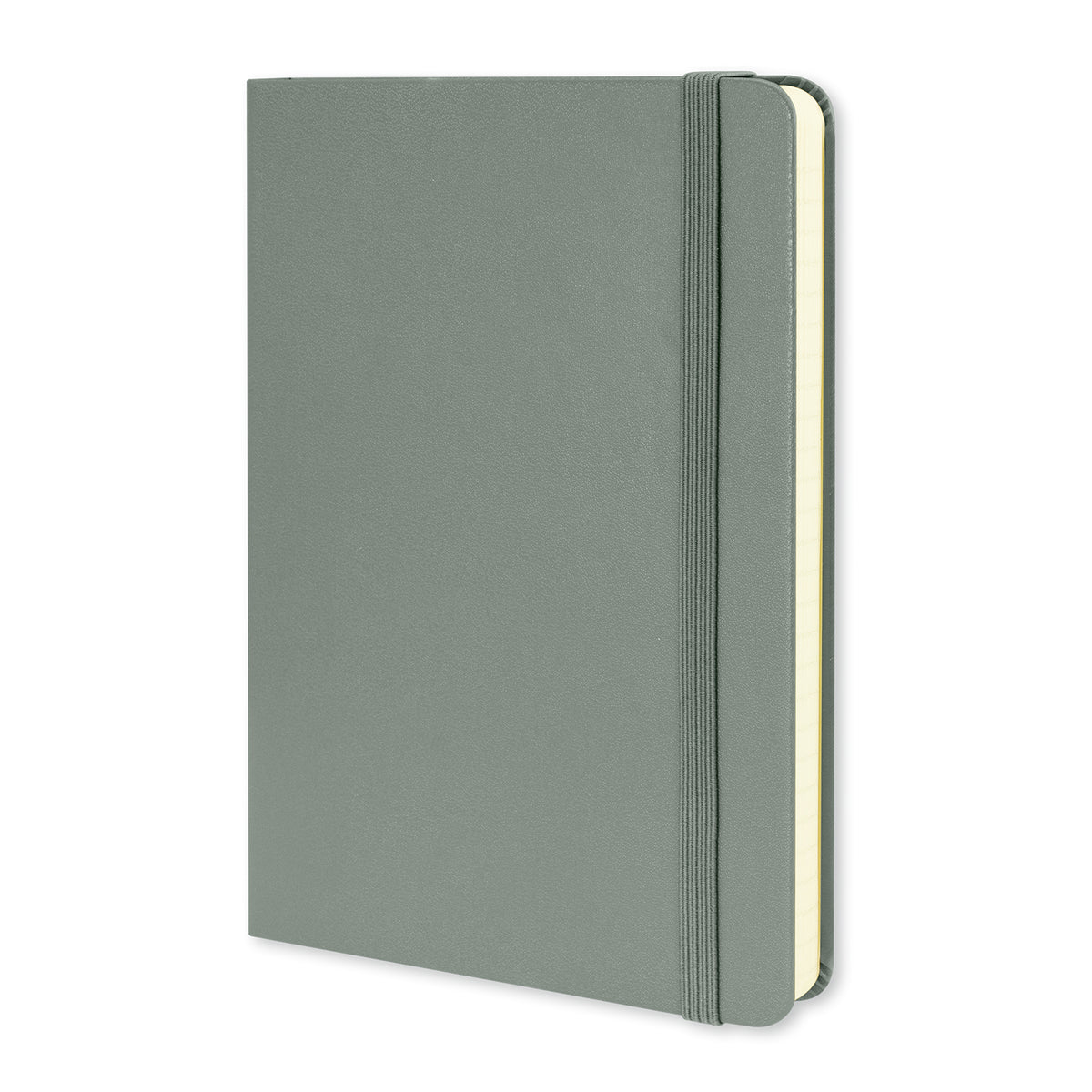 Moleskine Classic Hard Cover Notebook - Medium - Grey