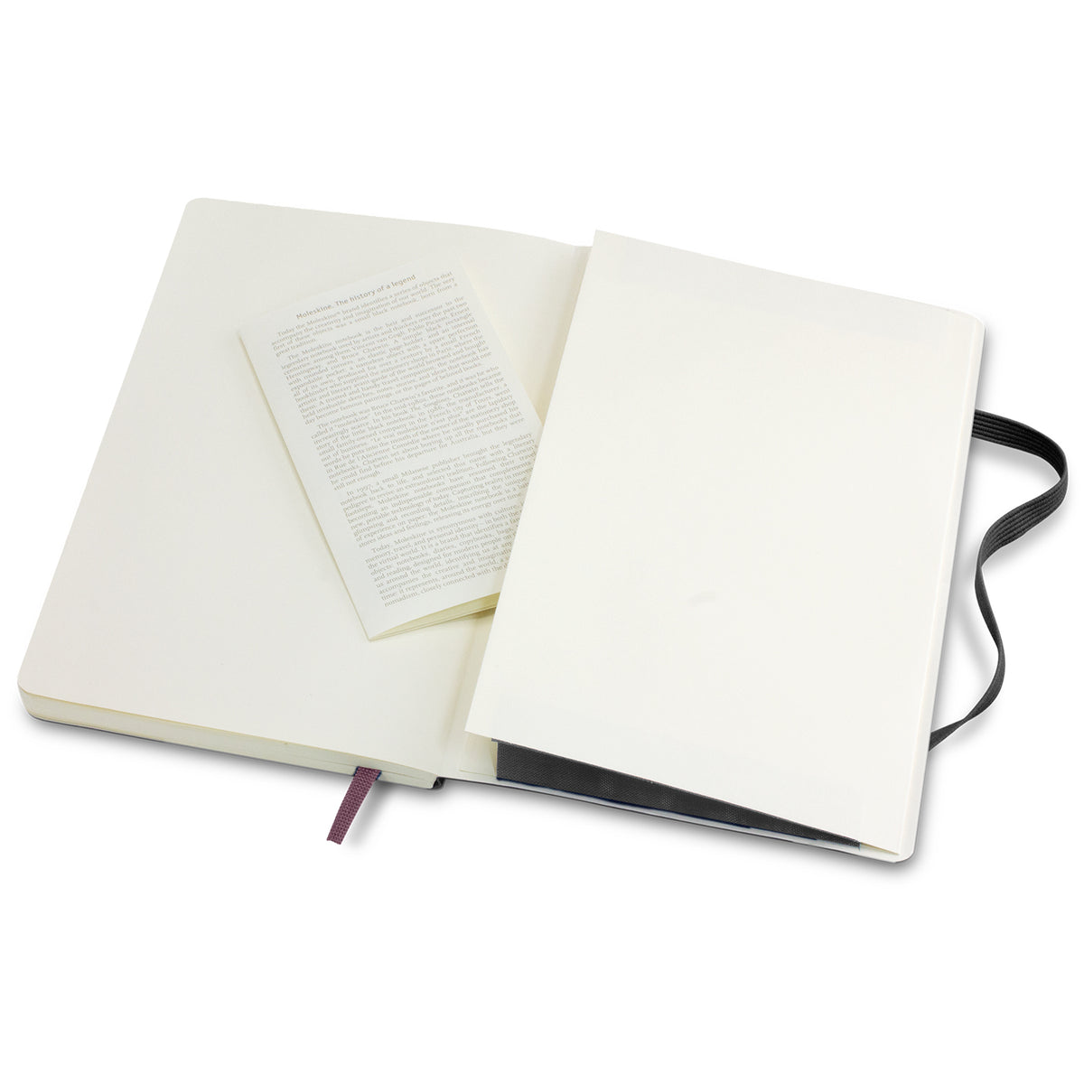 Moleskine Classic Soft Cover Notebook - Large - Pocket