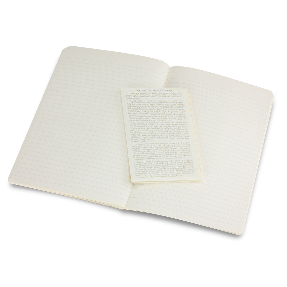 Moleskine Volant Journal - Large - Leaflet