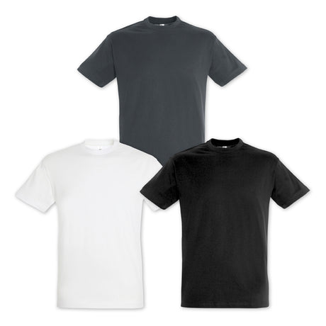 SOLS Regent Adult T-Shirt - Colours