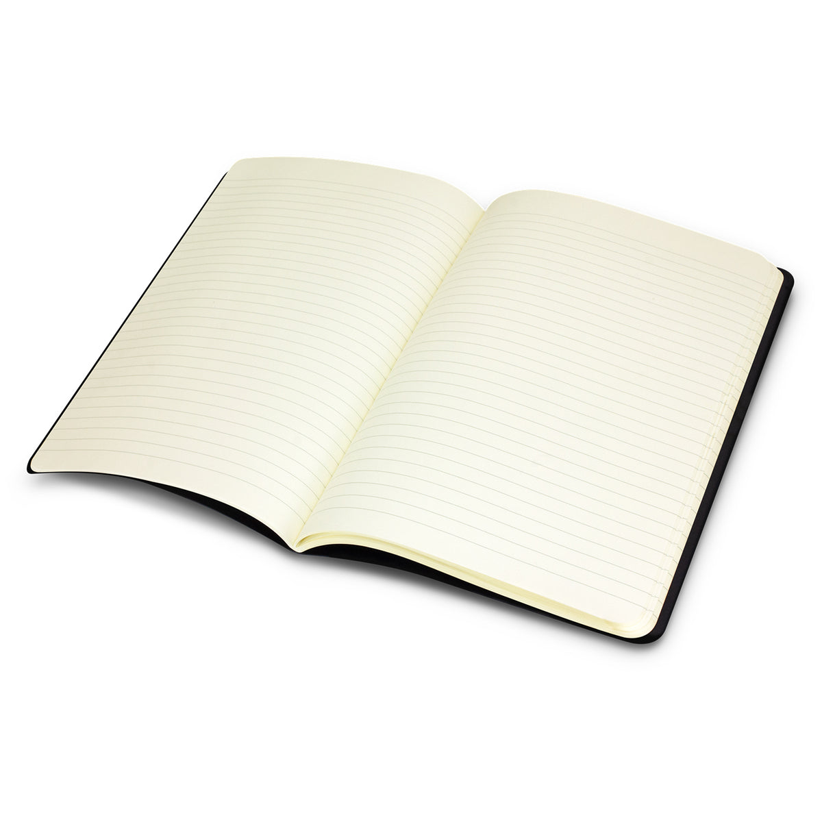 Moleskine Cahier Journal - Open