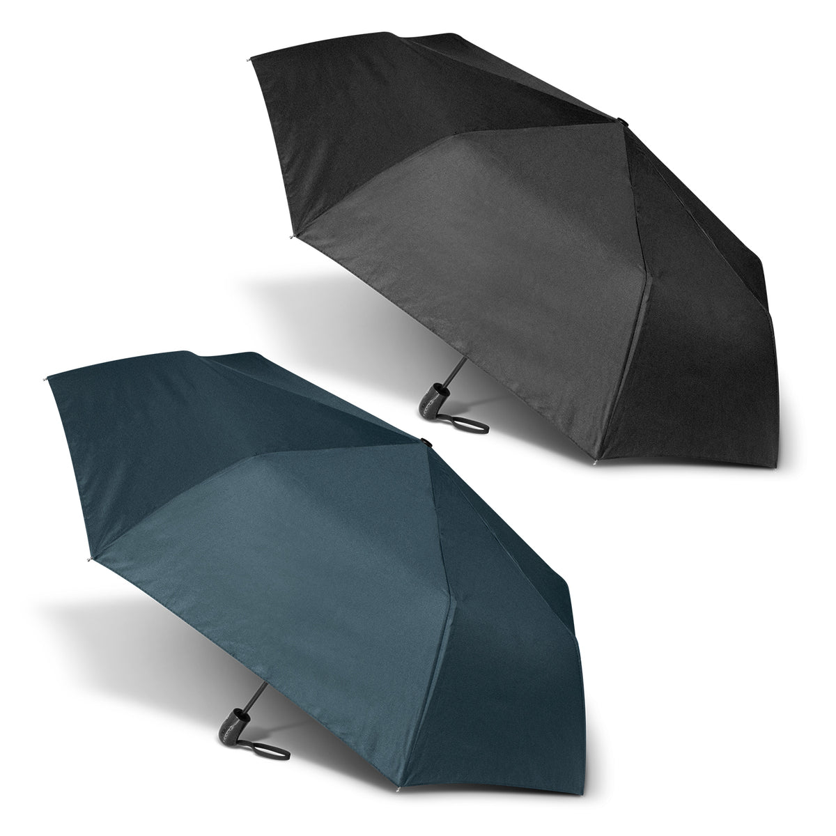 Economist Umbrella - Main
