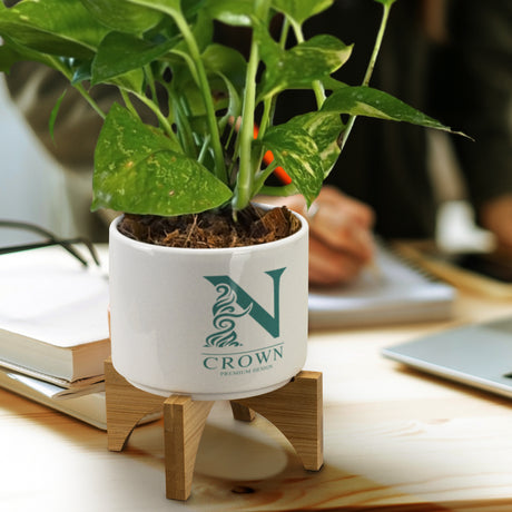 Planter with Bamboo Base - Feature