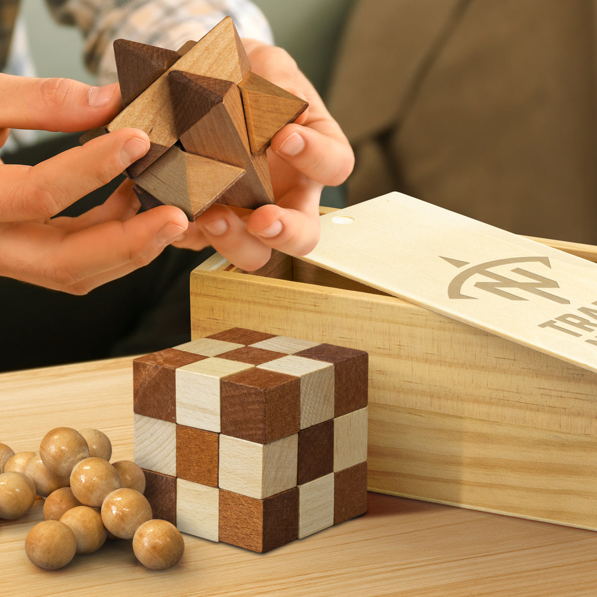 Wooden Brain Teaser Set - Feature