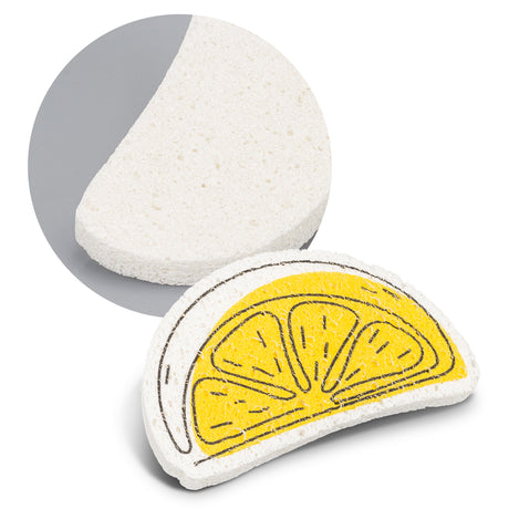 Expandable Sponge - Detail