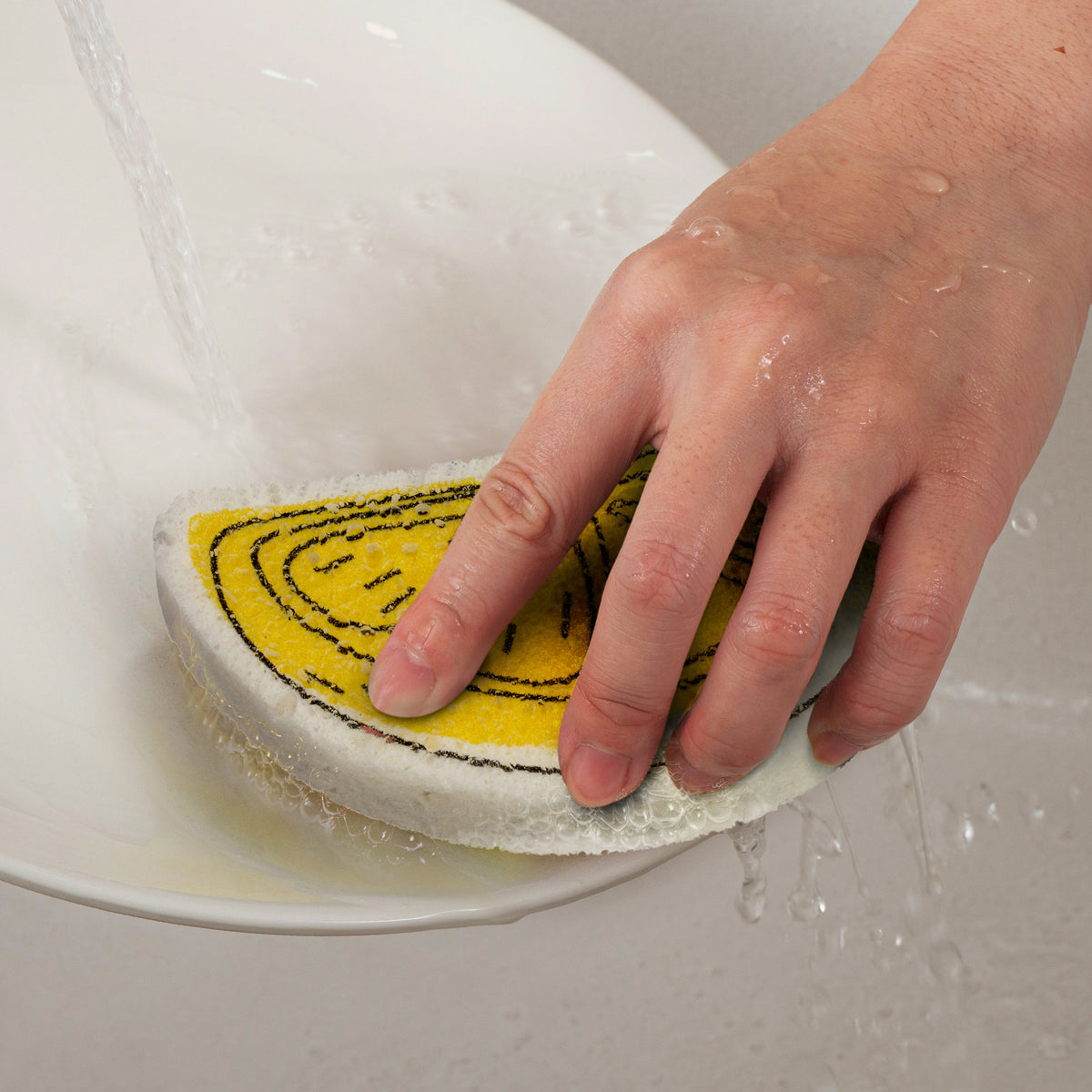 Expandable Sponge - Feature