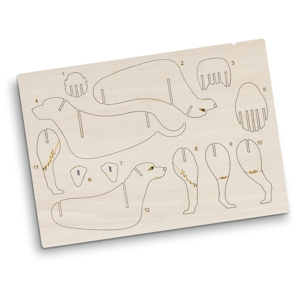 BRANDCRAFT Dog Wooden Model - Flat Sheet