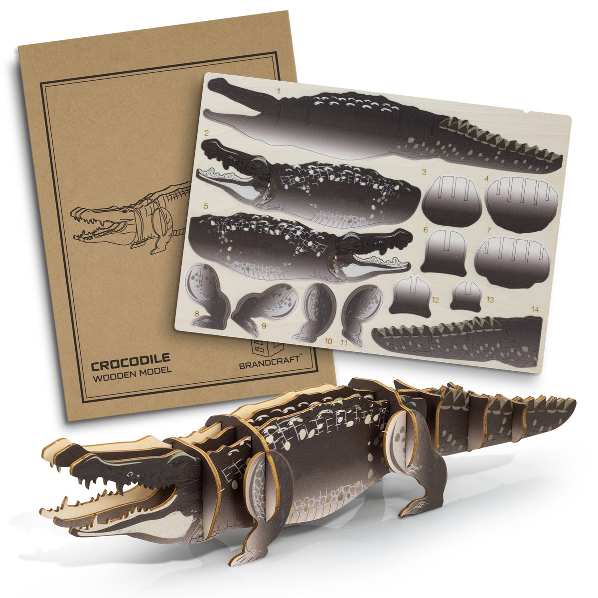 BRANDCRAFT Crocodile Wooden Model - Main