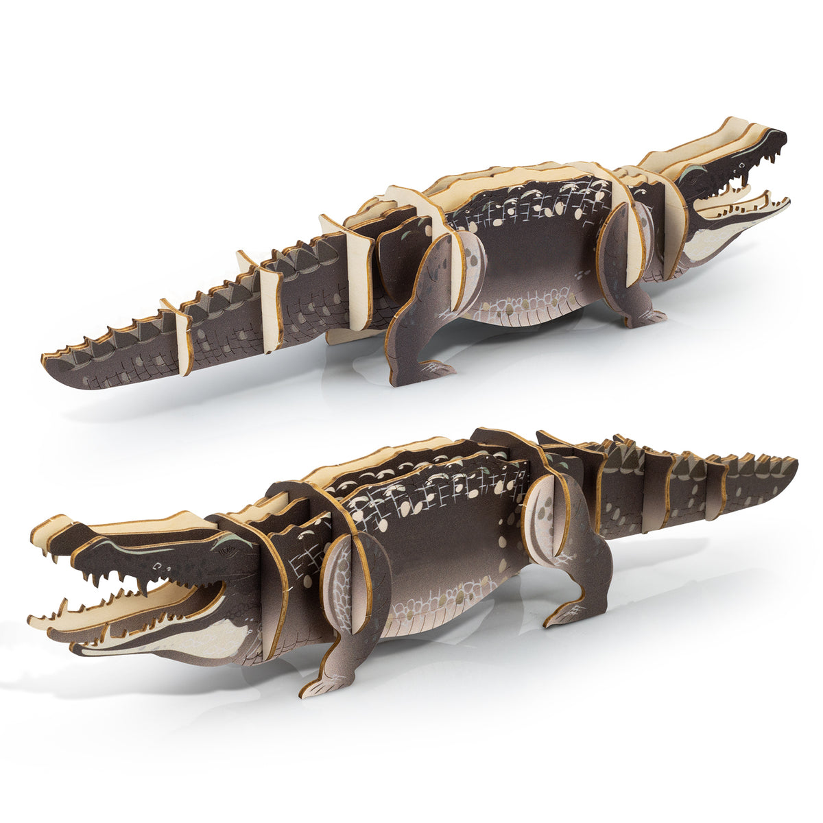 BRANDCRAFT Crocodile Wooden Model - Feature