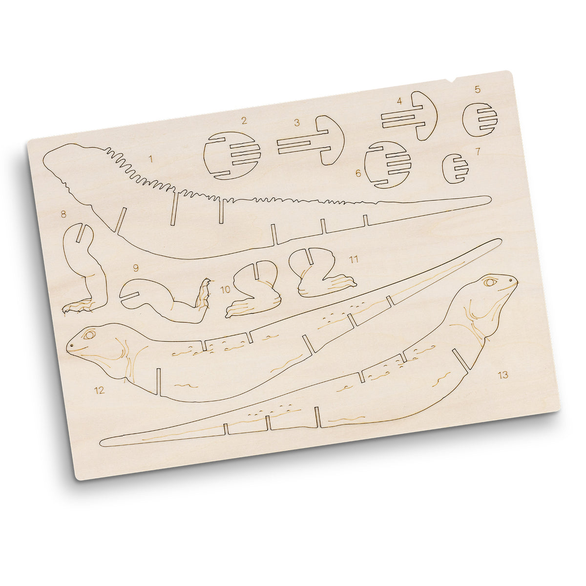 BRANDCRAFT Tuatara Wooden Model - Flat Sheet