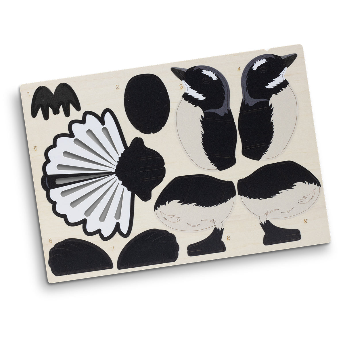 BRANDCRAFT Fantail Wooden Model - Flat Sheet