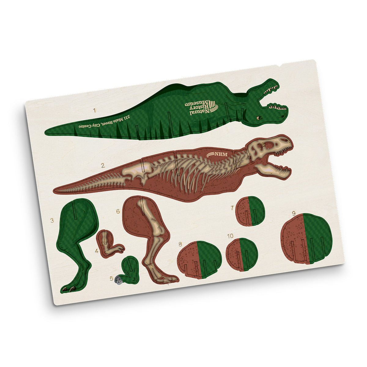 BRANDCRAFT Tyrannosaurus Rex Wooden Model - Direct Digital