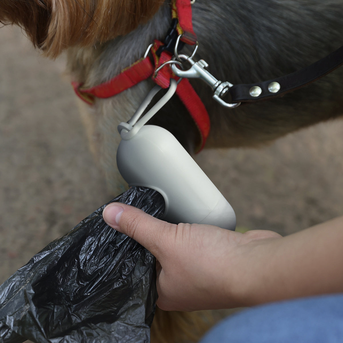 Pet Bag Dispenser - Feature