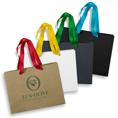 Medium Ribbon Handle Paper Bag - Main