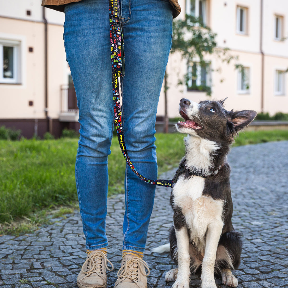 Amigo Dog Leash - Feature