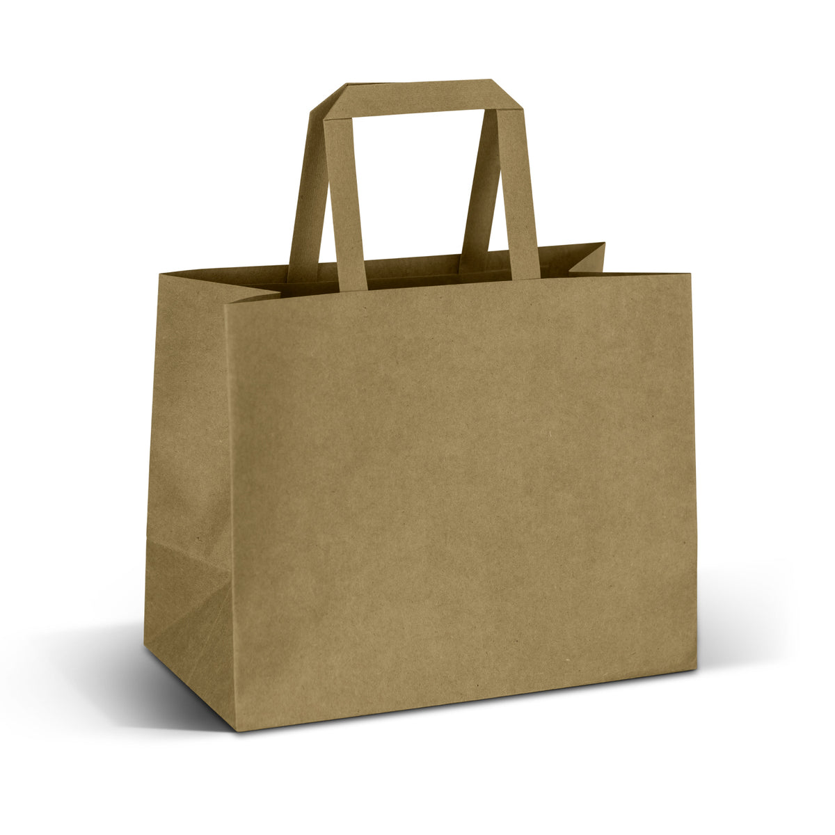 Medium Flat Handle Paper Bag Landscape - Detail