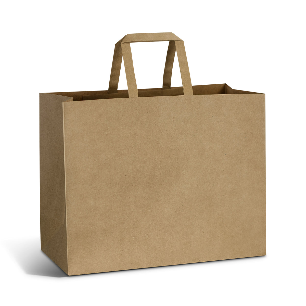 Large Flat Handle Paper Bag Landscape - Detail