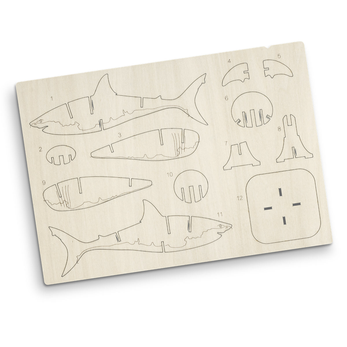 BRANDCRAFT Shark Wooden Model - Flat Sheet