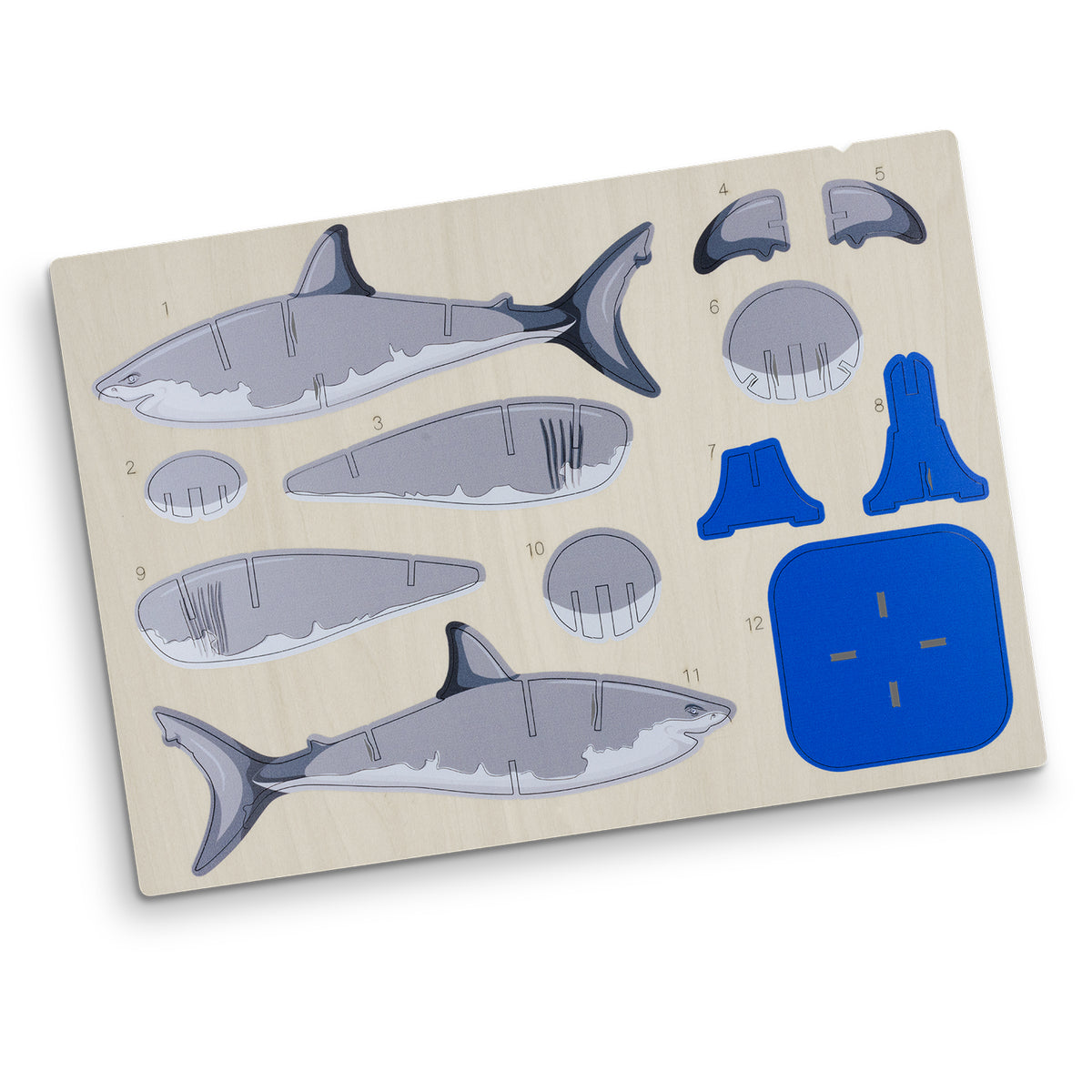 BRANDCRAFT Shark Wooden Model - Direct Digital